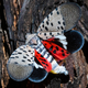 A spotted lanternfly at a vineyard in Kutztown, Pennsylvania in 2019.